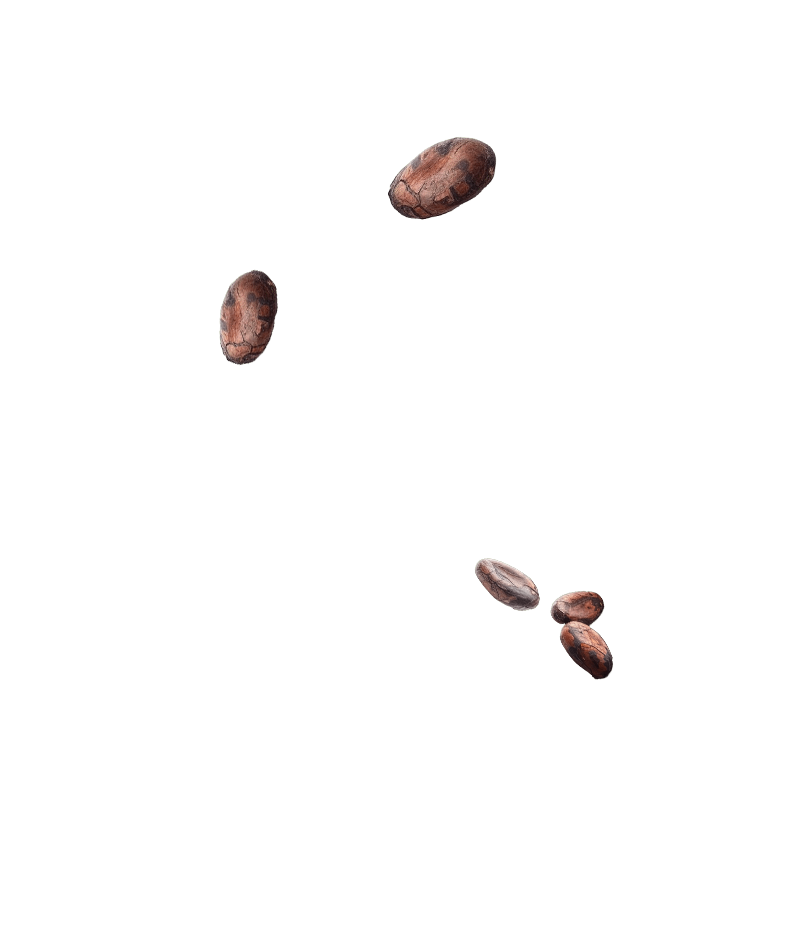 proteina-cacao-2 proteina-cacao-2