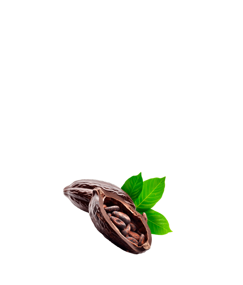 proteina-cacao proteina-cacao